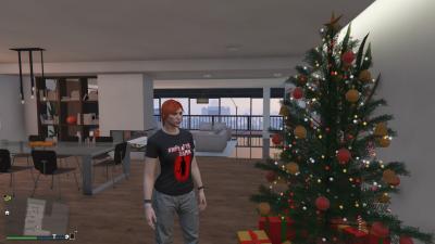 GTA5_2016_01_01_13_13_36_873
