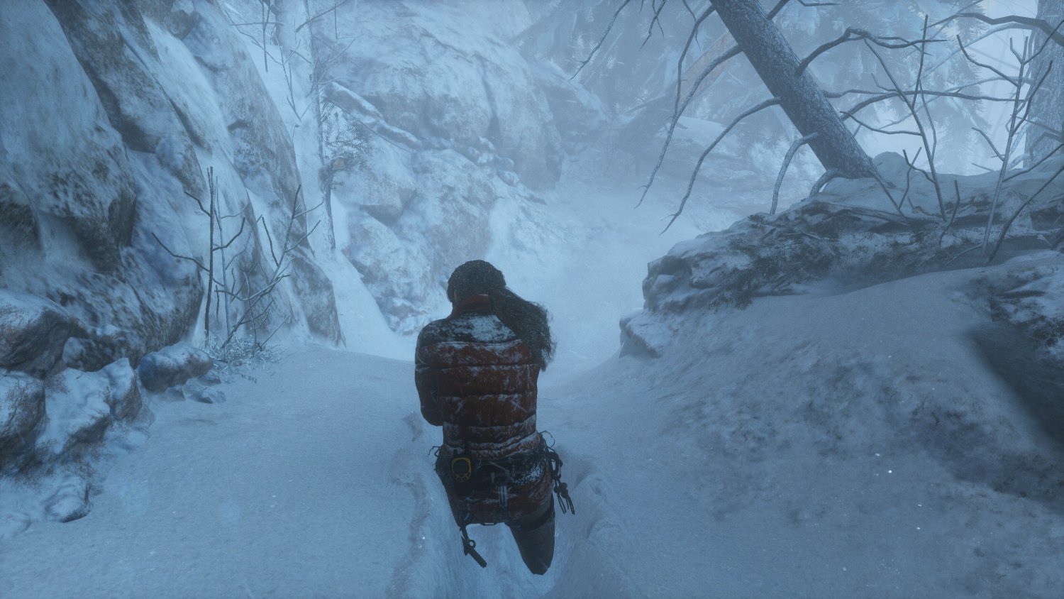ROTTR_2017_01_12_16_29_20_373