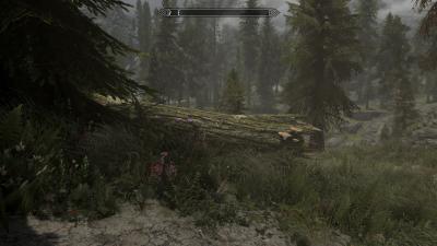 SkyrimSE_2016_11_17_00_00_09_794