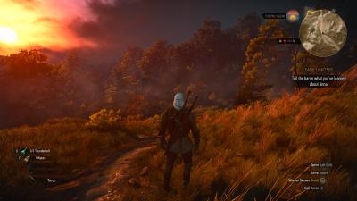 witcher3 2015-12-30 20-39-02-81