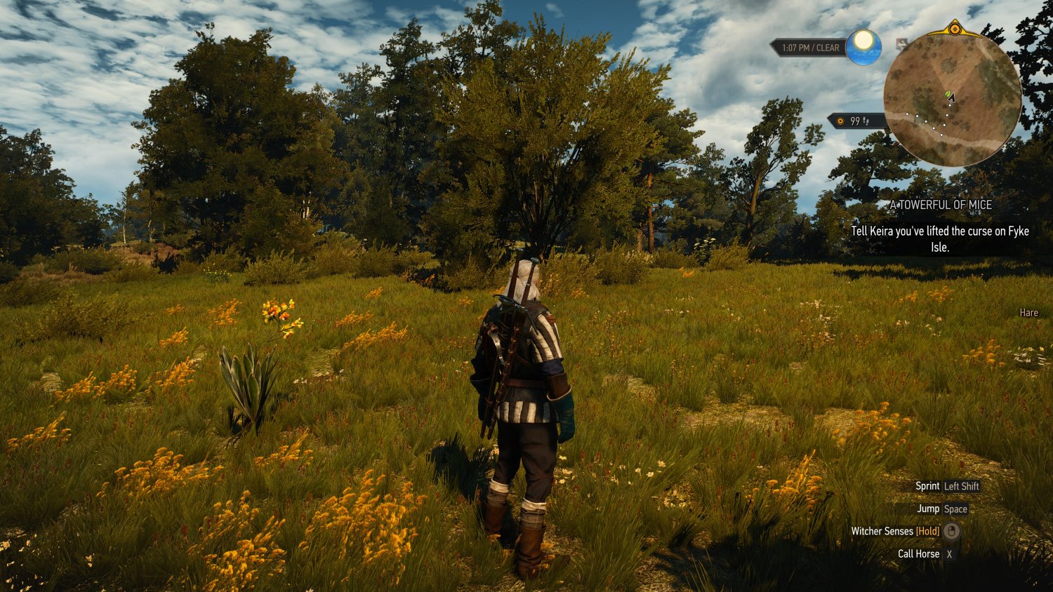 witcher3_2016_12_20_00_18_10_911