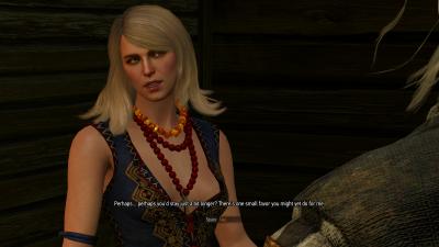 witcher3_2016_12_20_00_20_09_371