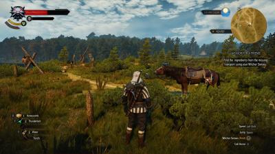 witcher3_2016_12_20_00_24_56_950